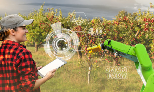 orchard