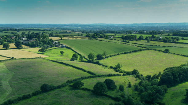 chesterfield