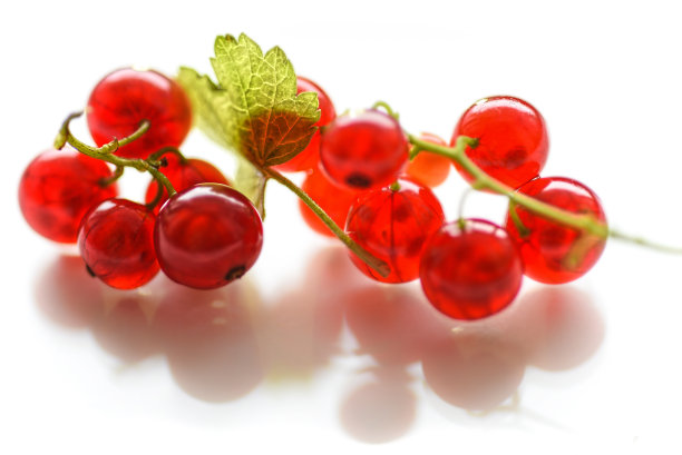redcurrant