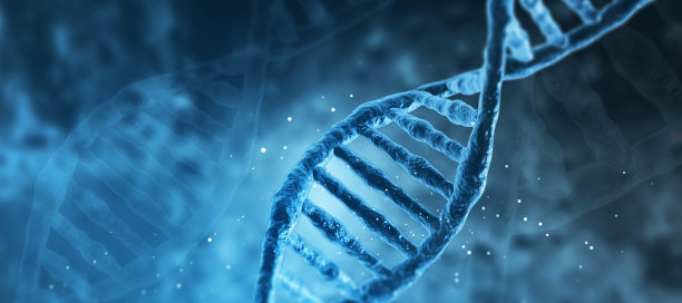 gene