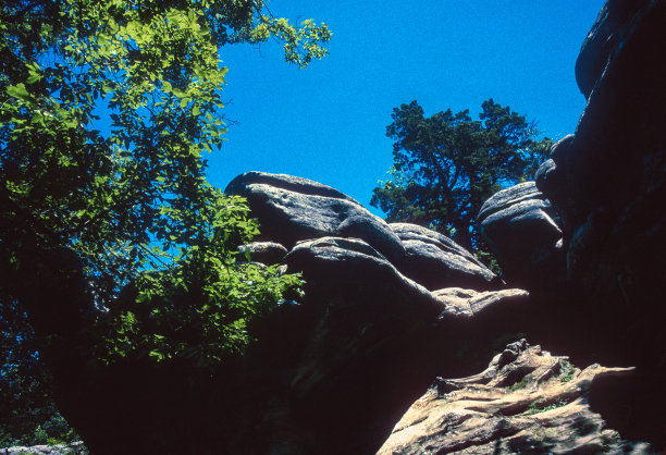 2003