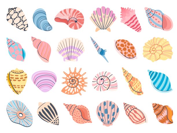 conch