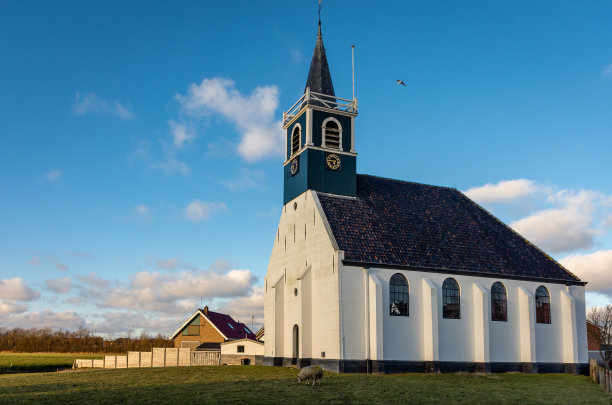 _texel