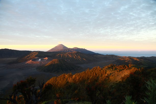 bromo