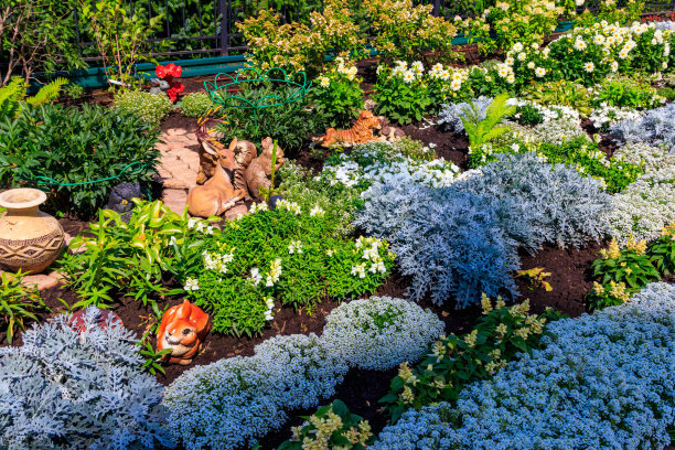 花坛绿化造型