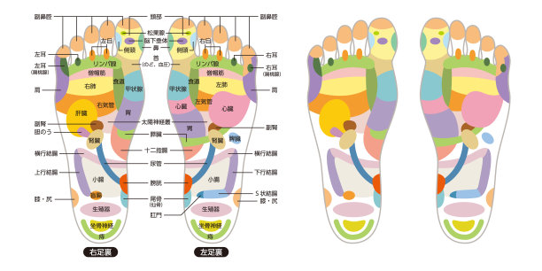 feet