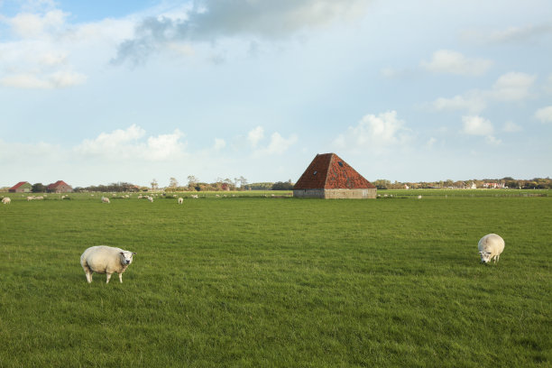 _texel