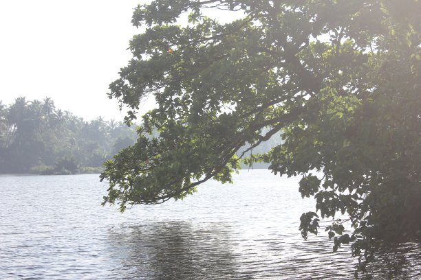 negombo
