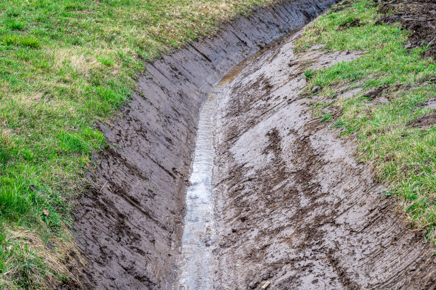 ditch