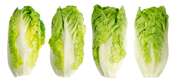 romaine