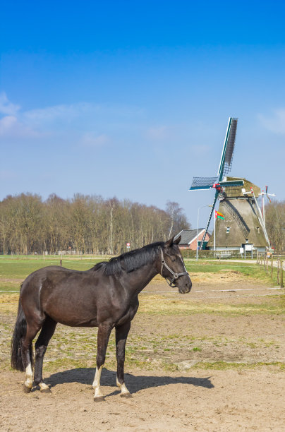 drenthe
