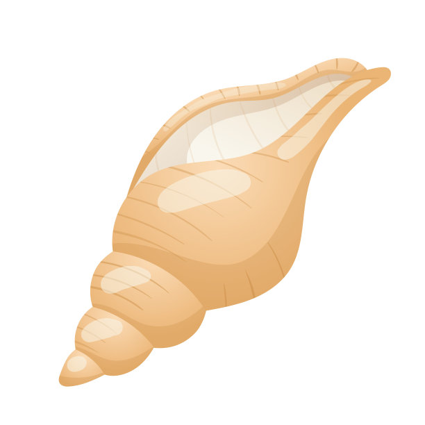 conch
