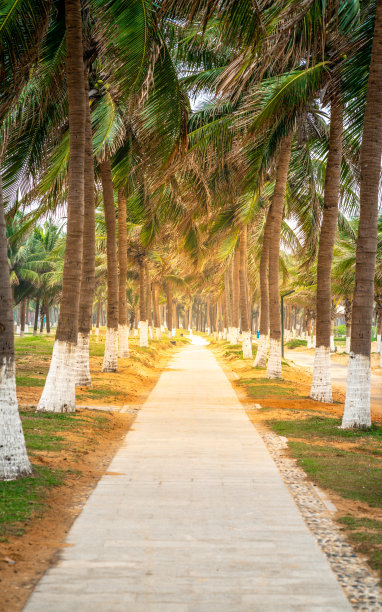 haikou