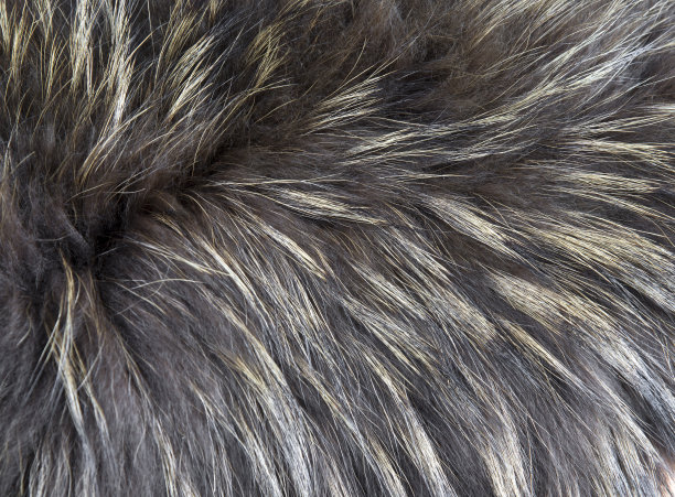 hairs