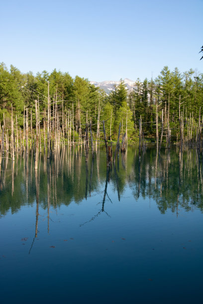fen