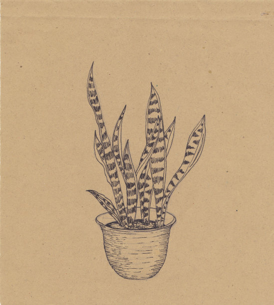 印尼水彩印尼插画