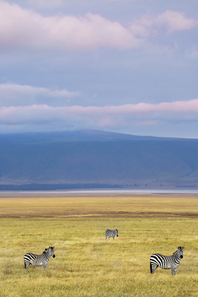 ngorongoro