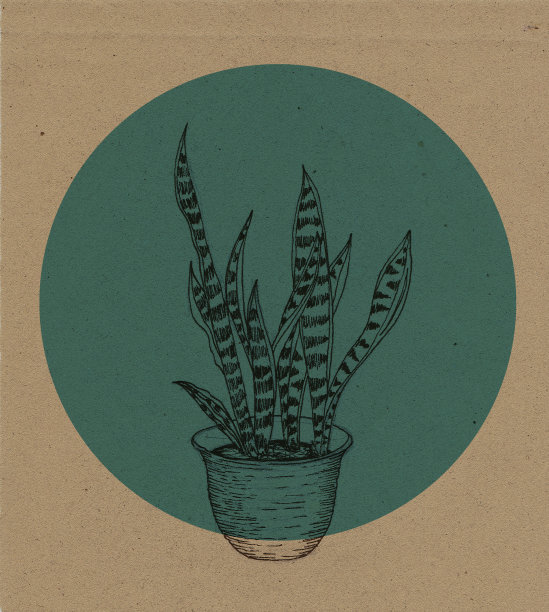 印尼水彩印尼插画