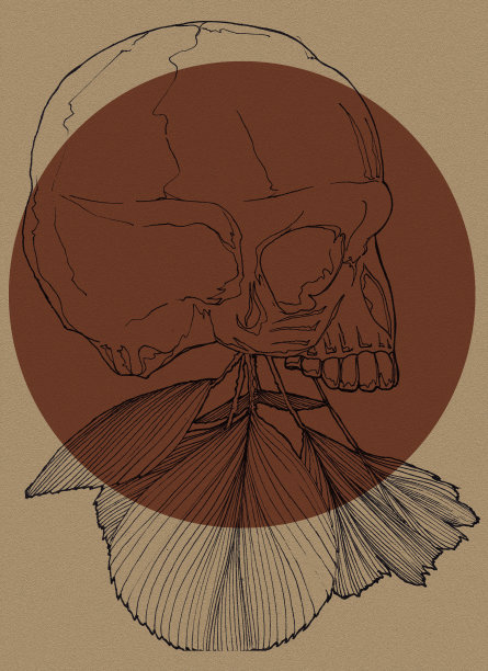 印尼水彩印尼插画