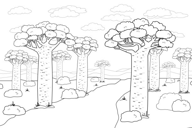 baobab