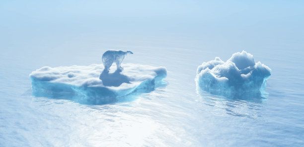 arctic