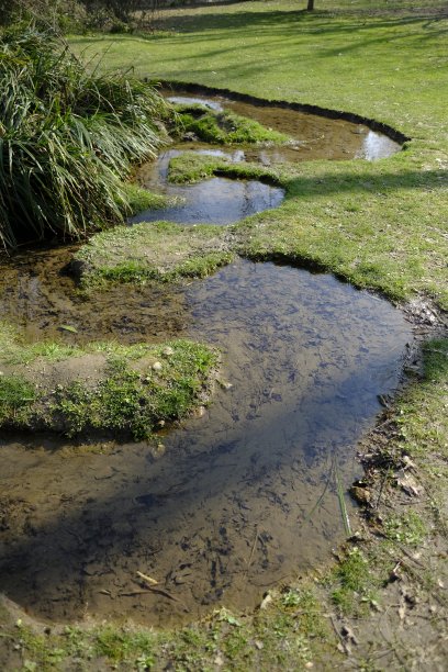 backwater