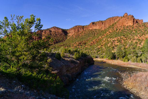 rapids