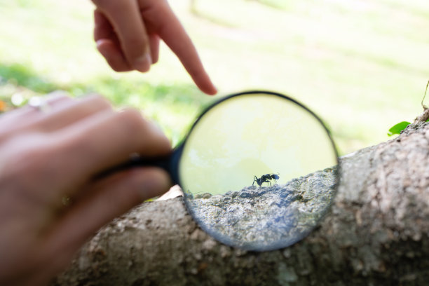magnifying