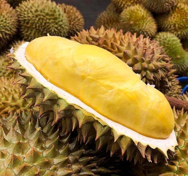 durian