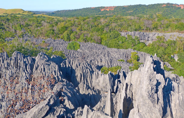 madagascar
