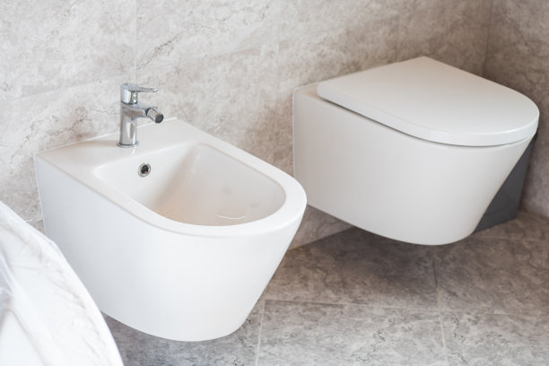 bidet