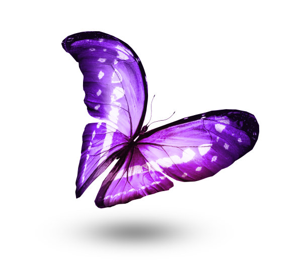 morpho