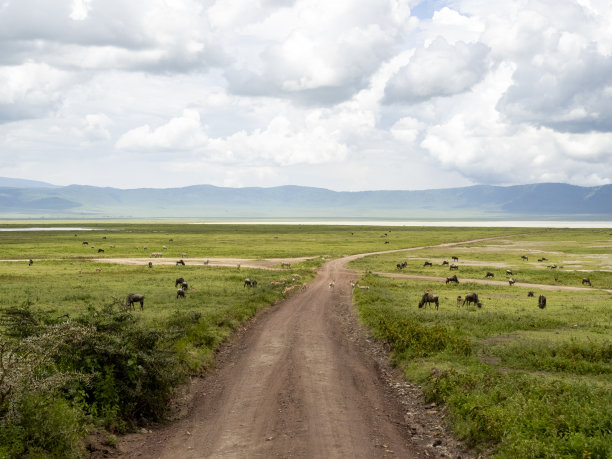 tanzania