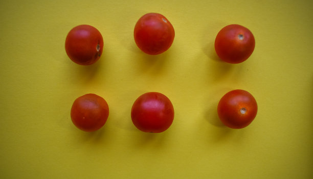金丝雀番茄