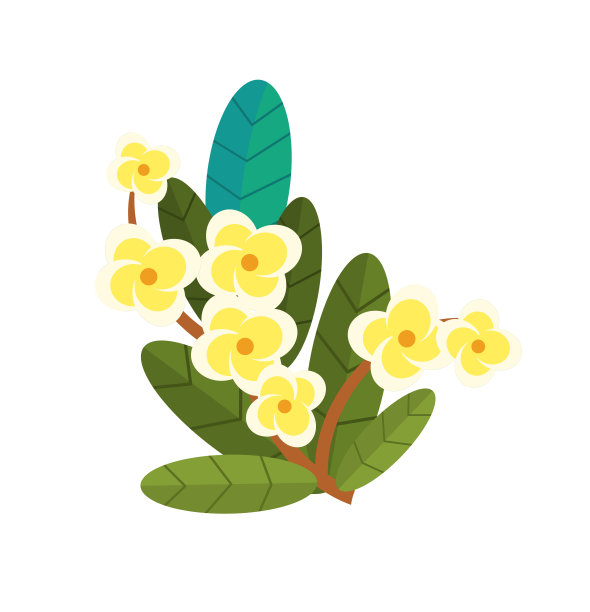 osmanthus