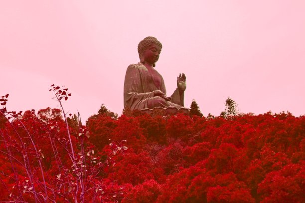 宝莲禅寺 大屿山风光