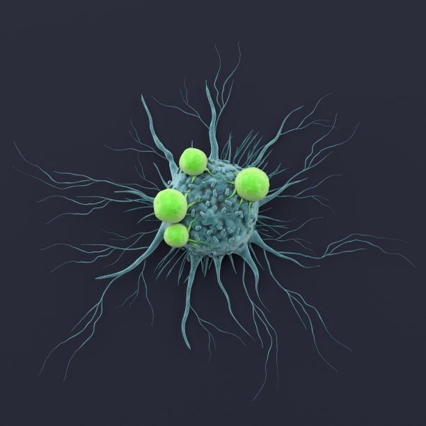cd4