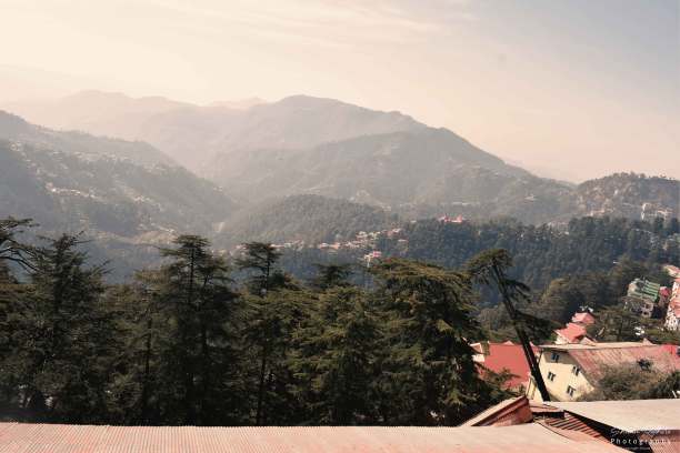 simla