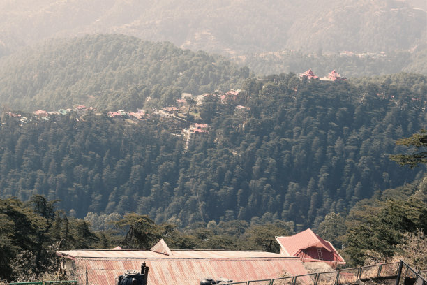 simla