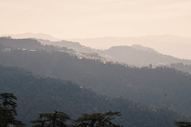 simla