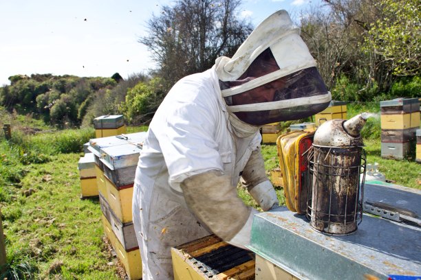 beekeeper