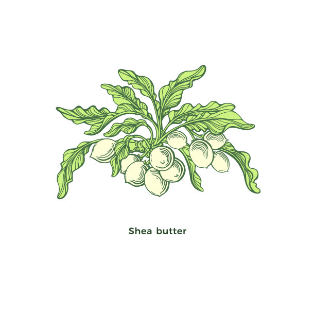 shea