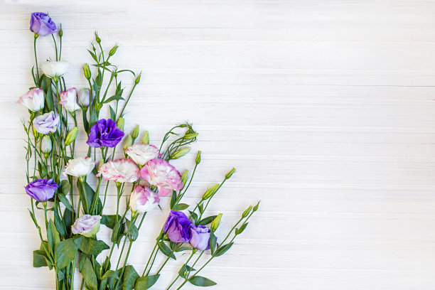 蓝白花卉蝴蝶图案素材