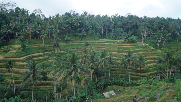 denpasar