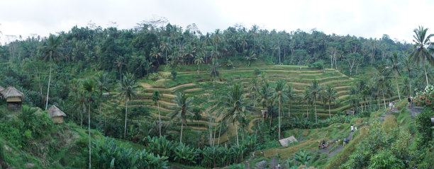 denpasar