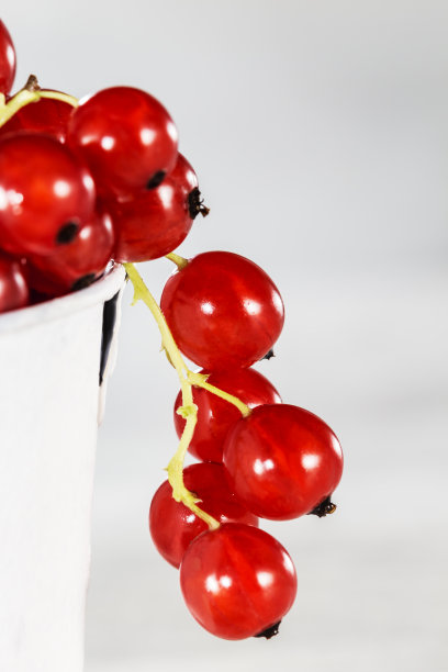 redcurrant