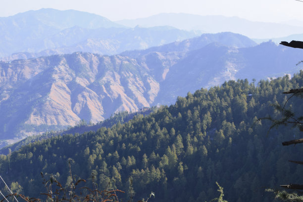 simla