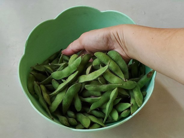 多彩日本豆