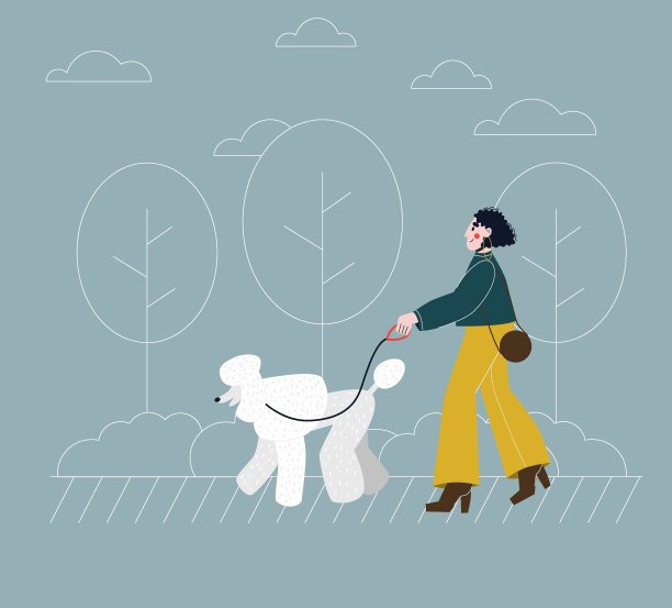 贵宾犬,卡通,纯种犬