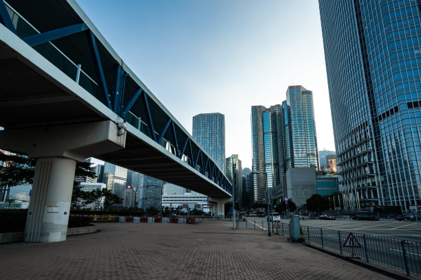 香港大会背景